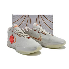 Nike LeBron 21 Akoya FV2345-001