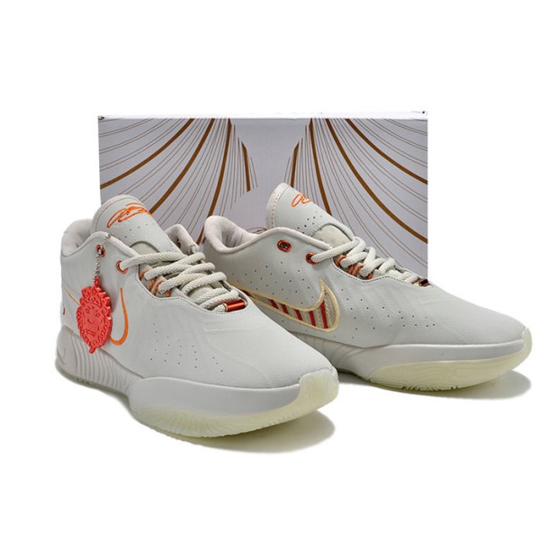 Nike LeBron 21 Akoya FV2345-001