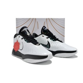 Nike LeBron 21 Conchiolin HF5841-100
